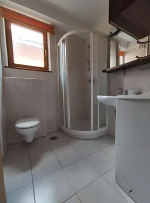 a bathroom with a shower and a toilet and a sink at Apartments Bohinjc in Bohinj
