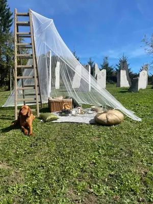 a dog laying on the grass in front of a tent at Hillside Bio Glamping in Prebold