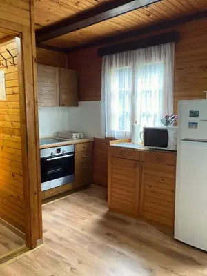 a kitchen with wooden cabinets and a white refrigerator at Teddy in Čatež ob Savi