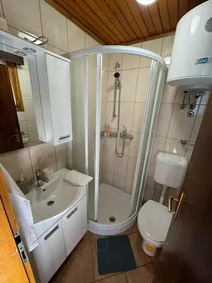 a bathroom with a shower and a sink and a toilet at Teddy in Čatež ob Savi