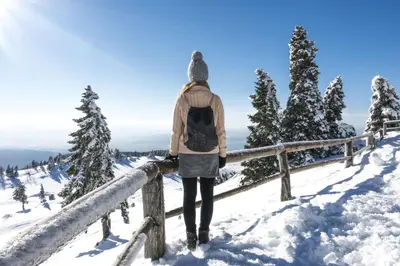 a person standing on a fence in the snow at Pool & Wellness Chalet Sunshine - Happy Rentals in Vransko