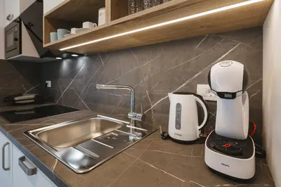 a kitchen with a sink and a coffee maker on a counter at Vila Rina in Bled