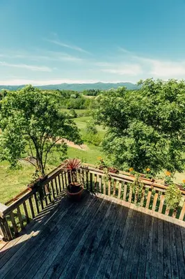 a wooden deck with a bench and some trees at Kmečka hiša Bahor in Črnomelj