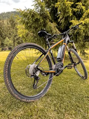 a bike parked in the grass in a field at Apartmaji na kozolcu - Smogavc in Zreče