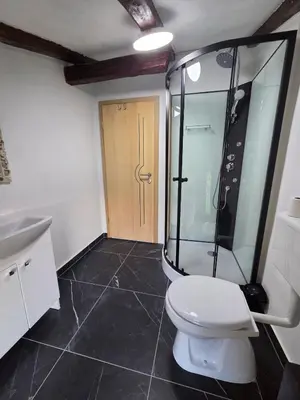 a bathroom with a toilet and a shower at Vila Antik in Ilirska Bistrica