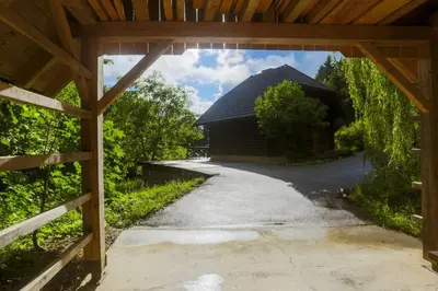 a view from the entrance to a house with a driveway at Cottage in the woods - Lake Bohinj in Bohinj