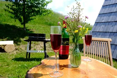 two glasses of red wine sitting on a table at Glamping Brodej in Vitanje