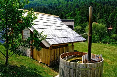 a small wooden building with a pond in front of it at Glamping Brodej in Vitanje