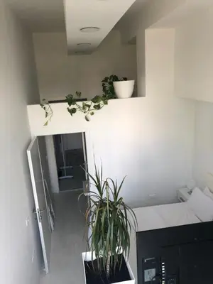 a living room with plants on the wall at INDUSTRIAL STUDIO 1 in Ljubljana
