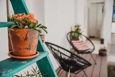 a potted plant sitting on the ledge of a porch at Apartment Dajana in Bovec