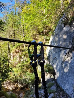 a rope in the middle of a forest at Koča Martuljek in Gozd Martuljek