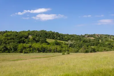 a field of grass with trees in the background at Kamp Brda Camping and rooms in Kojsko