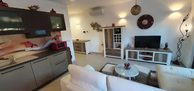 a living room with a couch and a tv at Apartma Archy in Moravske Toplice