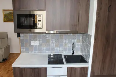 a kitchen with a sink and a microwave at Sleeping in Village in Svečina