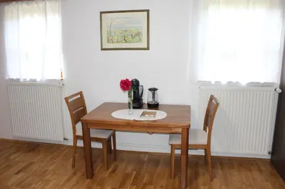 a dining room table with chairs and a vase of flowers on it at Sleeping in Village in Svečina