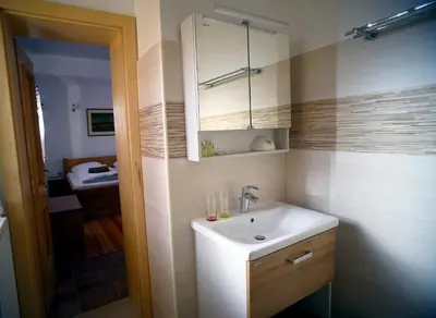 a bathroom with a sink and a mirror at Sleeping in Village in Svečina