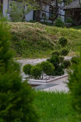 a garden with trees and bushes on a hill at Hiša Bohinc z wellnessom in Tolmin
