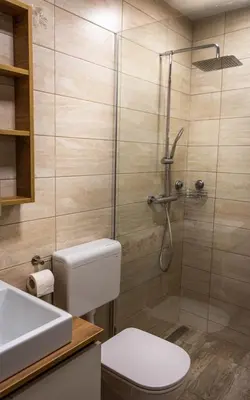 a bathroom with a shower and a toilet and a sink at Hiša Bohinc z wellnessom in Tolmin