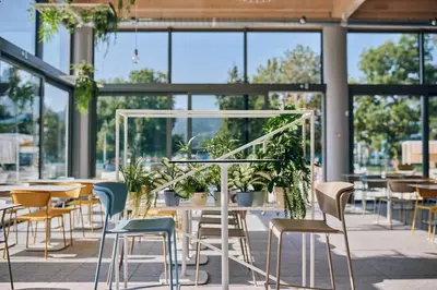 a room with tables and chairs and windows at Premium Mobile Tree House with Thermal Riviera Tickets in Čatež ob Savi