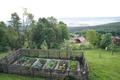 a garden on the side of a hill at HIS-a za 2 in Dragatuš