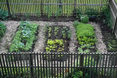 a garden behind a fence with plants and vegetables at HIS-a za 2 in Dragatuš