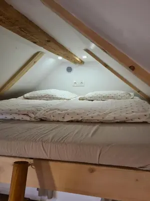 a bed in the attic of a room at Zidanica Žagar in Dolenjske Toplice