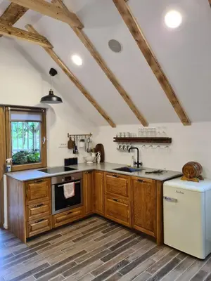 a kitchen with wooden cabinets and a sink and a dishwasher at Zidanica Žagar in Dolenjske Toplice