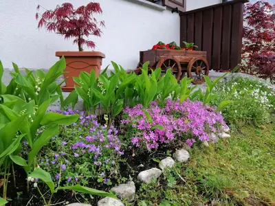 a garden with purple flowers and a cart at Počitniško stanovanje PLANJA in Soča