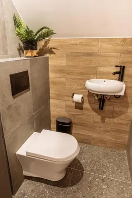 a bathroom with a toilet and a sink at Hiša Lojz in Žaga