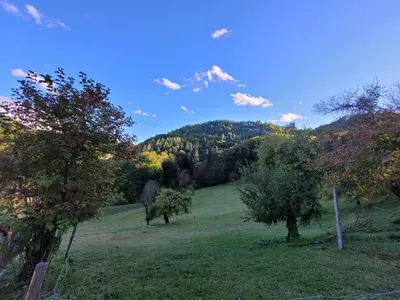 a field with trees and a mountain in the background at Turistična kmetija Kunstek in Rogatec