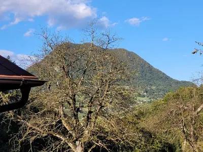 a mountain in the distance with a tree in the foreground at Turistična kmetija Kunstek in Rogatec