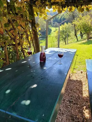 three glasses of wine sitting on a picnic table at Turistična kmetija Kunstek in Rogatec