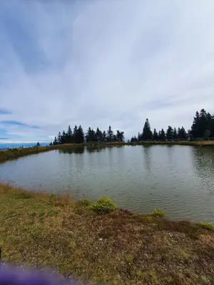 a large body of water with trees in the background at Apartma Ribnica na Pohorju in Ribnica na Pohorju