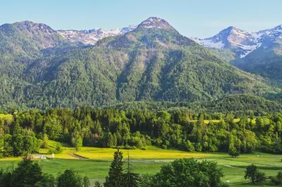 a mountain range with a green field and trees at Sobe - rooms R&K in Bohinj