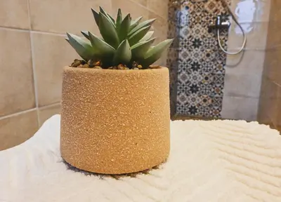 a plant in a pot sitting on top of a towel at Sobe - rooms R&K in Bohinj