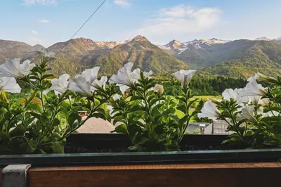 a window with white flowers and mountains in the background at Sobe - rooms R&K in Bohinj