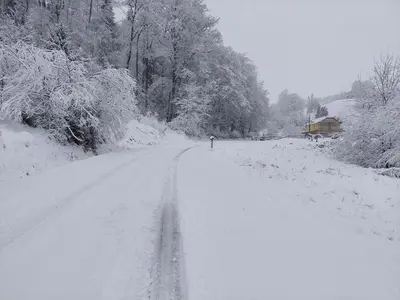 a road covered in snow with a person walking down it at Zelena Oaza in Zgornja Kungota