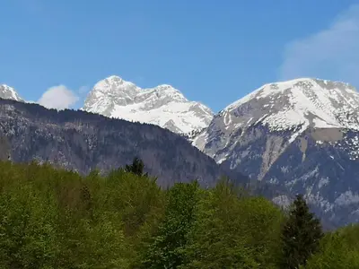 a snow covered mountain range with trees in the foreground at Apartmaji Preželj in Bohinj