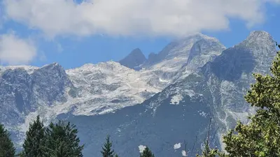 a snow covered mountain with trees in front of it at APARTMA BRDO BC in Bovec