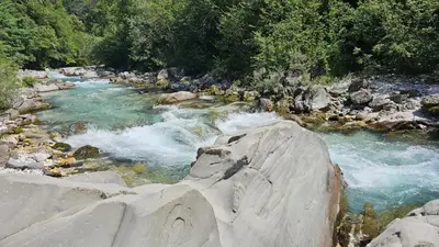 a river with rapids and rocks in a forest at APARTMA BRDO BC in Bovec