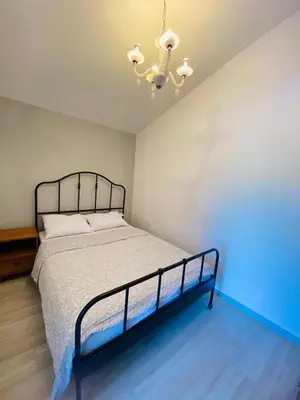 a bedroom with a bed and a chandelier at Apartma Mija-Dekani in Dekani