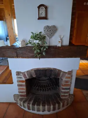 a brick fireplace with a plant on top of it at Logarska koča in Fokovci