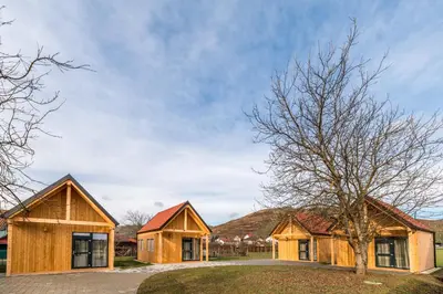 a cluster of wooden homes with a tree at Počitniške hiške Murania in Trimlini