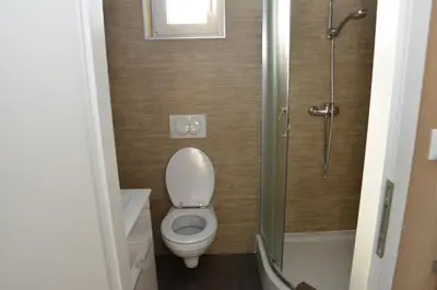 a bathroom with a toilet and a shower at Počitniške hiške Murania in Trimlini