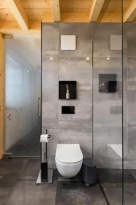 a bathroom with a toilet and a glass wall at Hiša Križaj in Bohinj