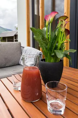 a table with two glasses and a vase with a plant at Hiša Križaj in Bohinj