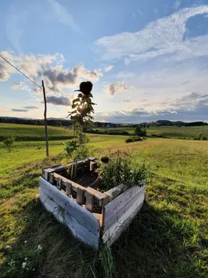 a plant in a wooden box in a field at Apartma Sveti Duh in Nova Vas