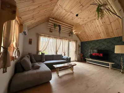 a living room with a couch and a fireplace at Edenski vrt in Ivančna Gorica