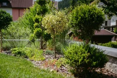 a garden with trees and plants in a yard at Apartment Oddih with terrace and private SAUNA in Bled