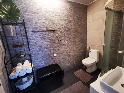 a bathroom with a shower with a toilet and a sink at Rose 8 Bled in Bled